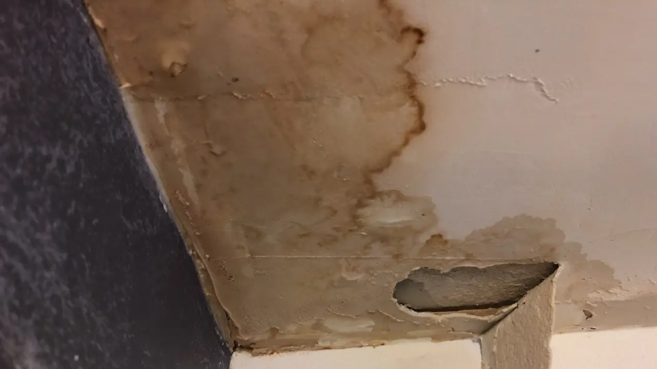 Proceso de detección de fugas de agua
